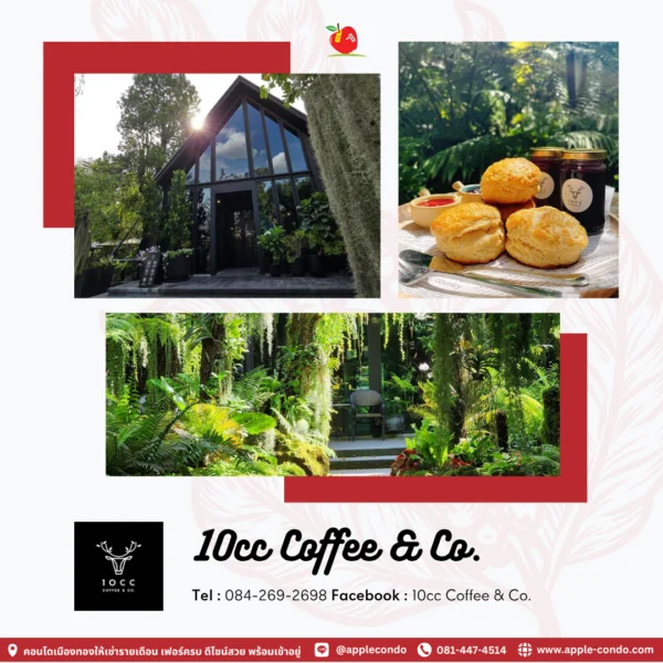 10cc Coffee Co Apple Condo