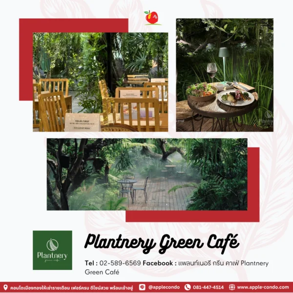Plantnery Green Cafe Apple Condo