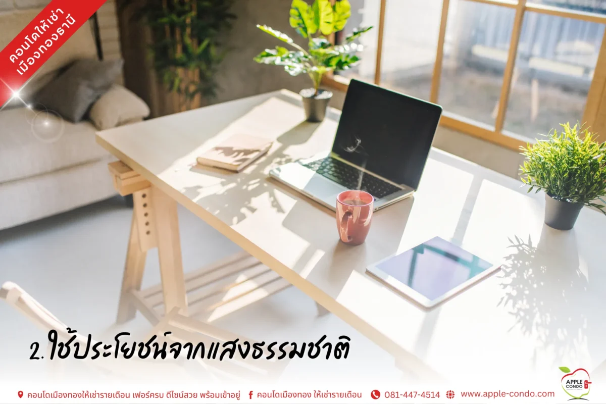 2.Take advantage of natural light 11zon Apple Condo