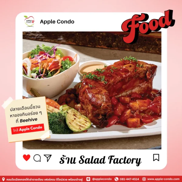 Salad Factory 11zon Apple Condo