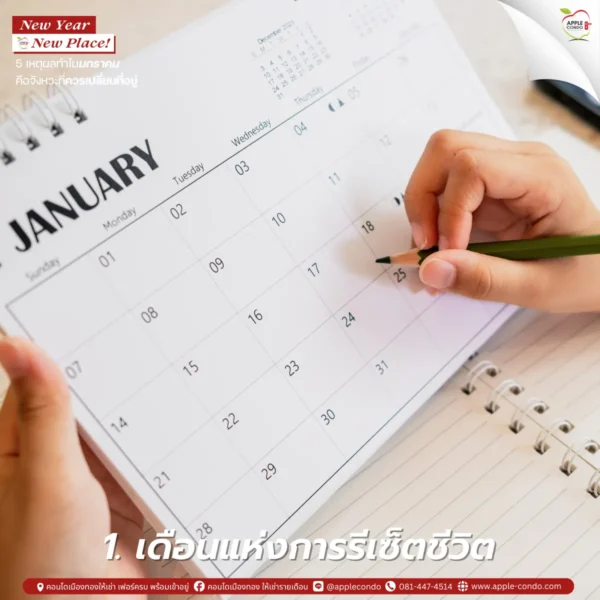 The month of resetting your life 11zon Apple Condo